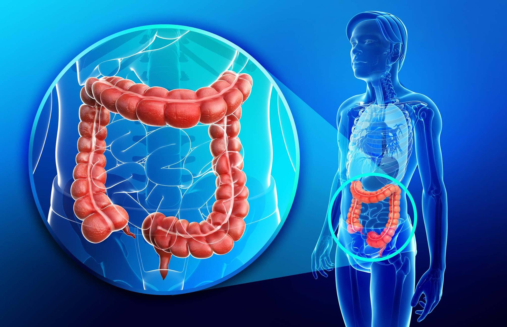 RICORRENTI INFIAMMAZIONI E DISTURBI INTESTINALI? PROVA COL DOSAGGIO DELLA CALPROTECTINA FECALE! RICORRENTI INFIAMMAZIONI E DISTURBI INTESTINALI? PROVA COL DOSAGGIO DELLA CALPROTECTINA FECALE!