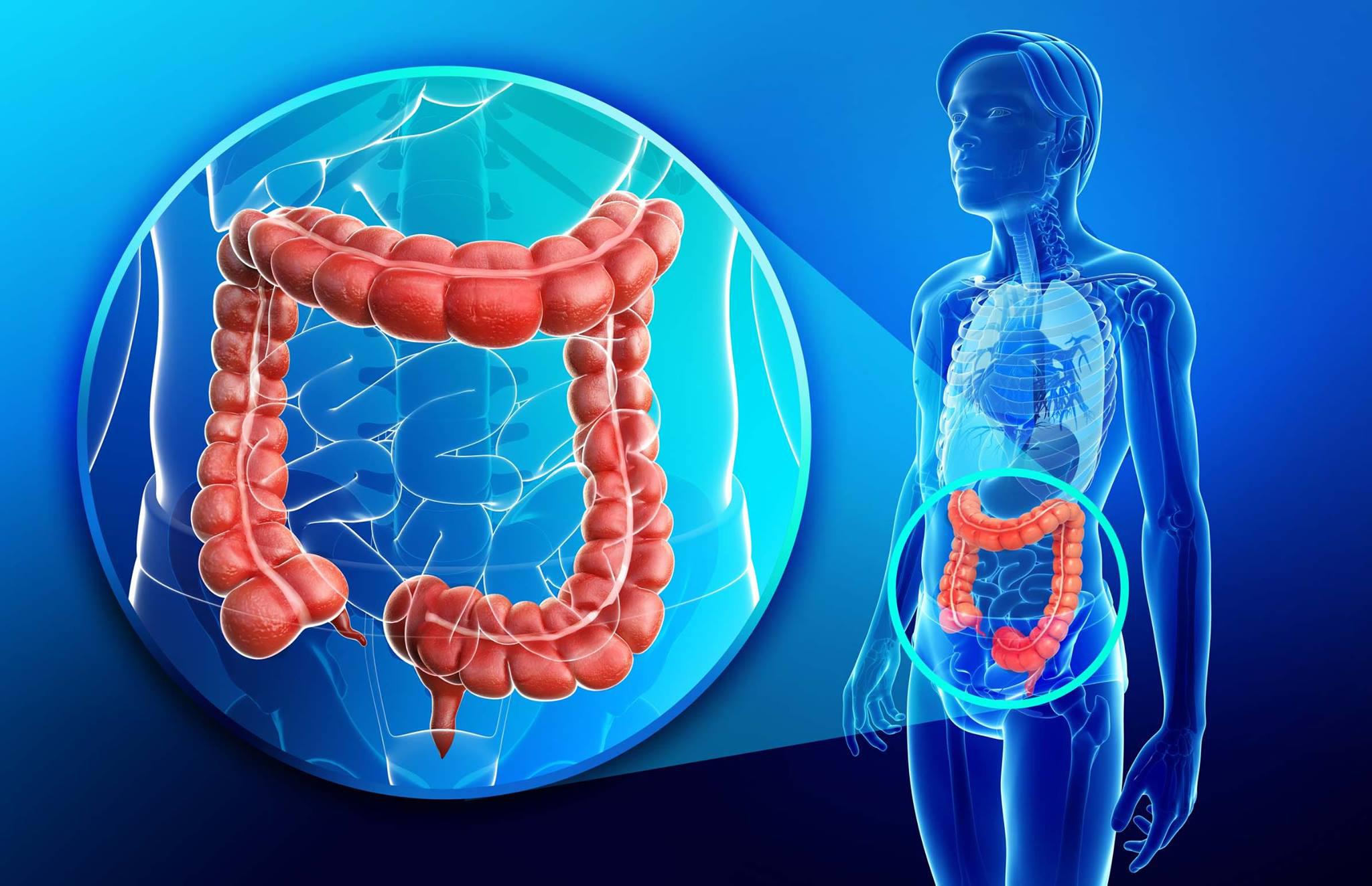 RICORRENTI INFIAMMAZIONI E DISTURBI INTESTINALI? PROVA COL DOSAGGIO DELLA CALPROTECTINA FECALE!